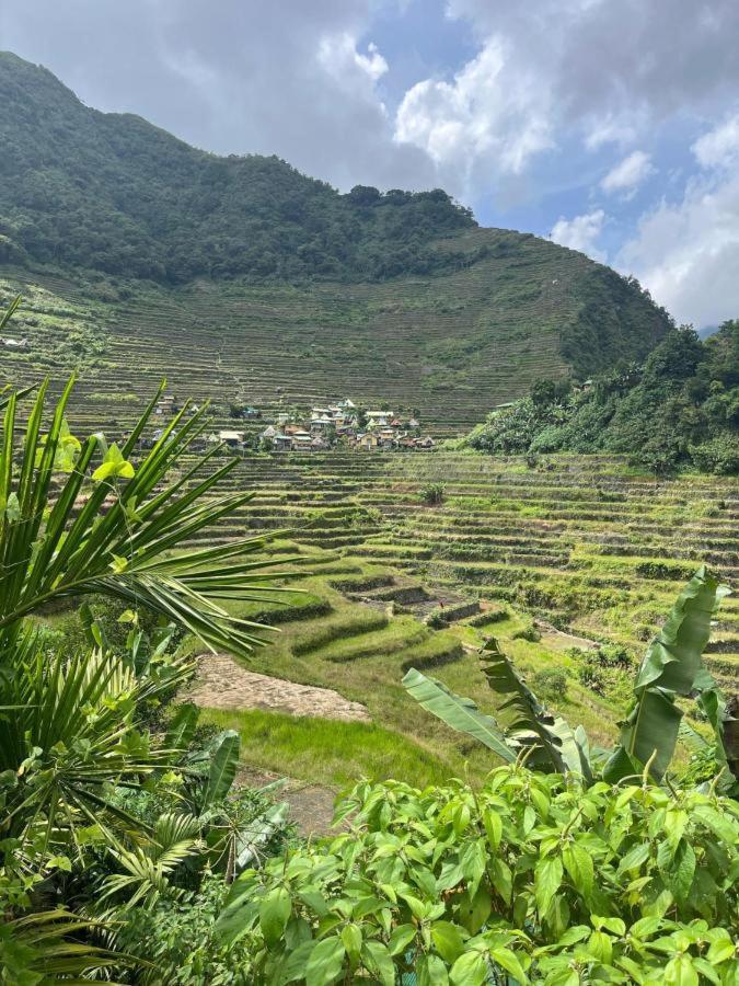 Batad Rita'S Mount View Inn And Restaurant بناو المظهر الخارجي الصورة